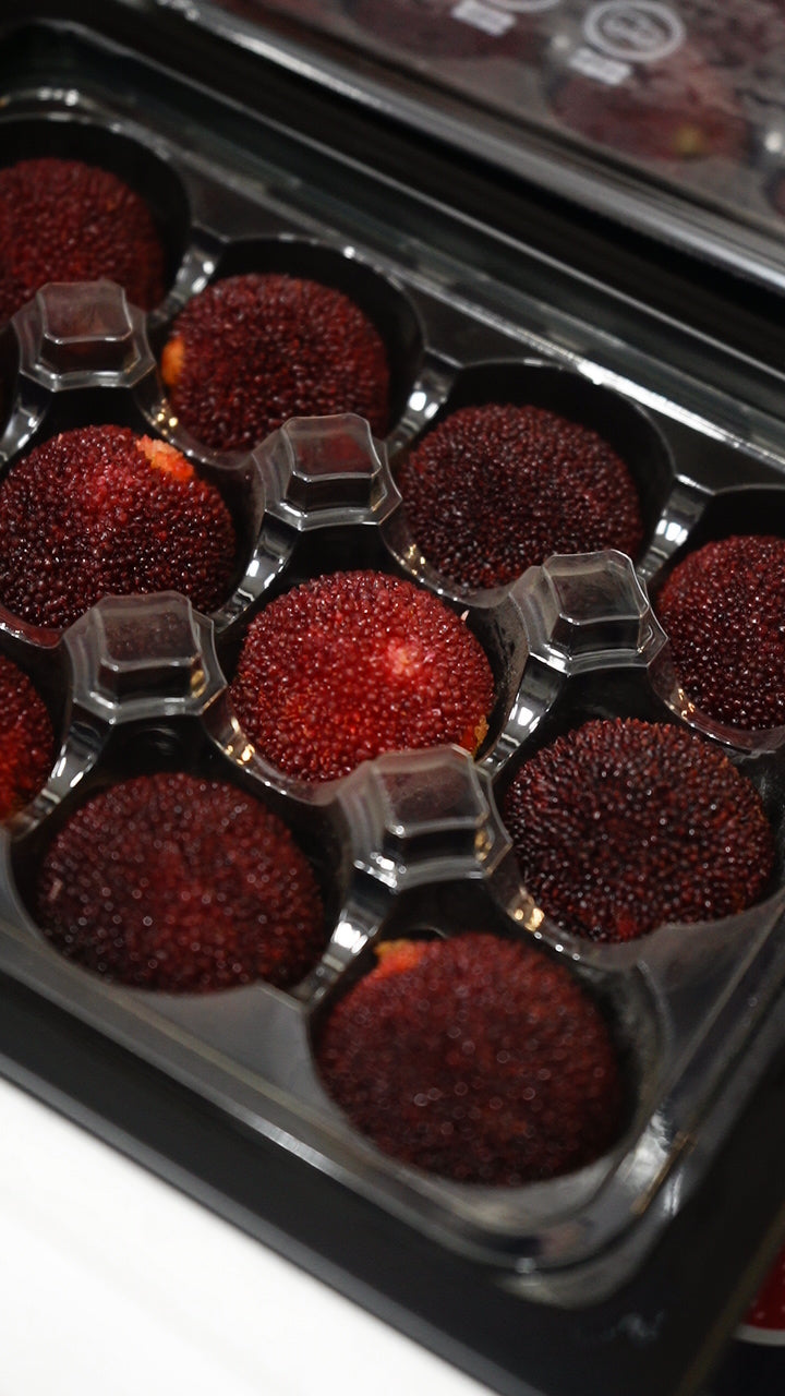 Xianju Waxberry 仙居杨梅