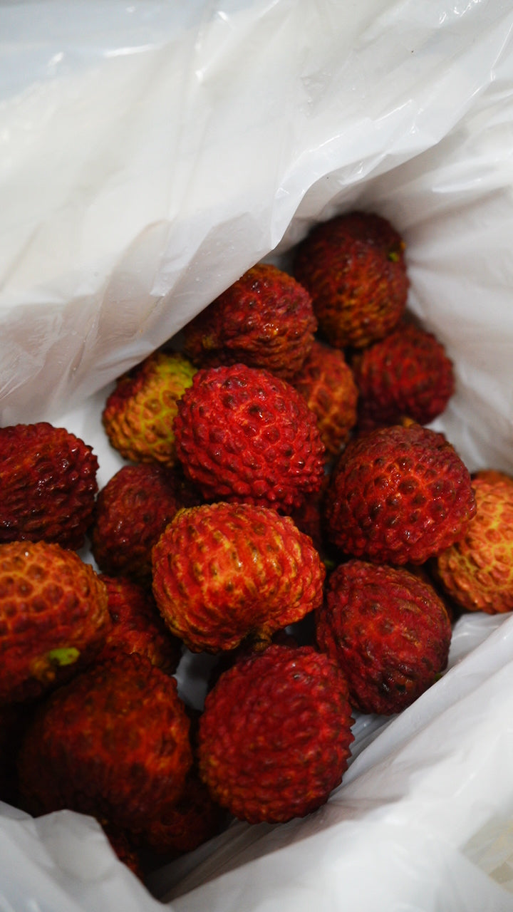King Lychee 巨无霸荔枝王