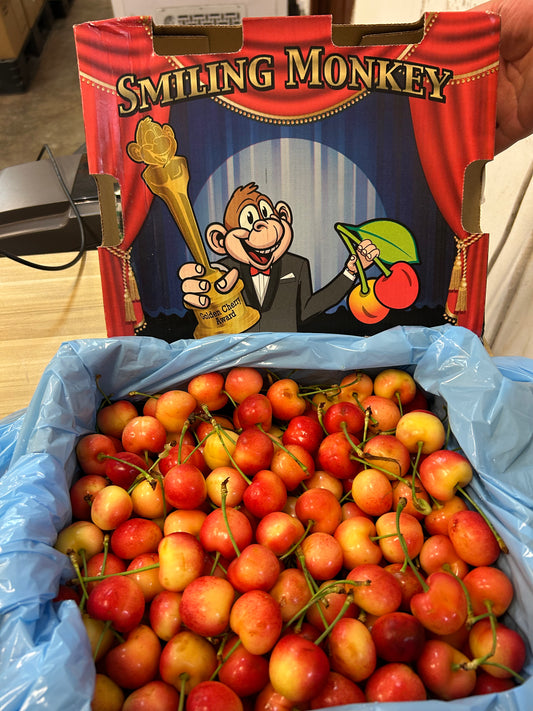 Smiling Monkey Cherry 笑猴樱桃