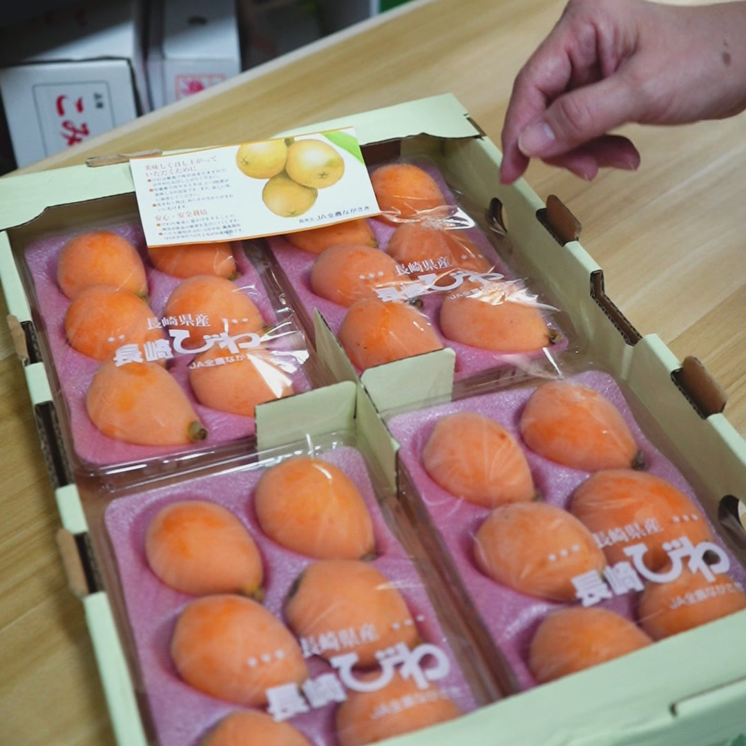 Nagasaki Loquat 长崎枇杷赤
