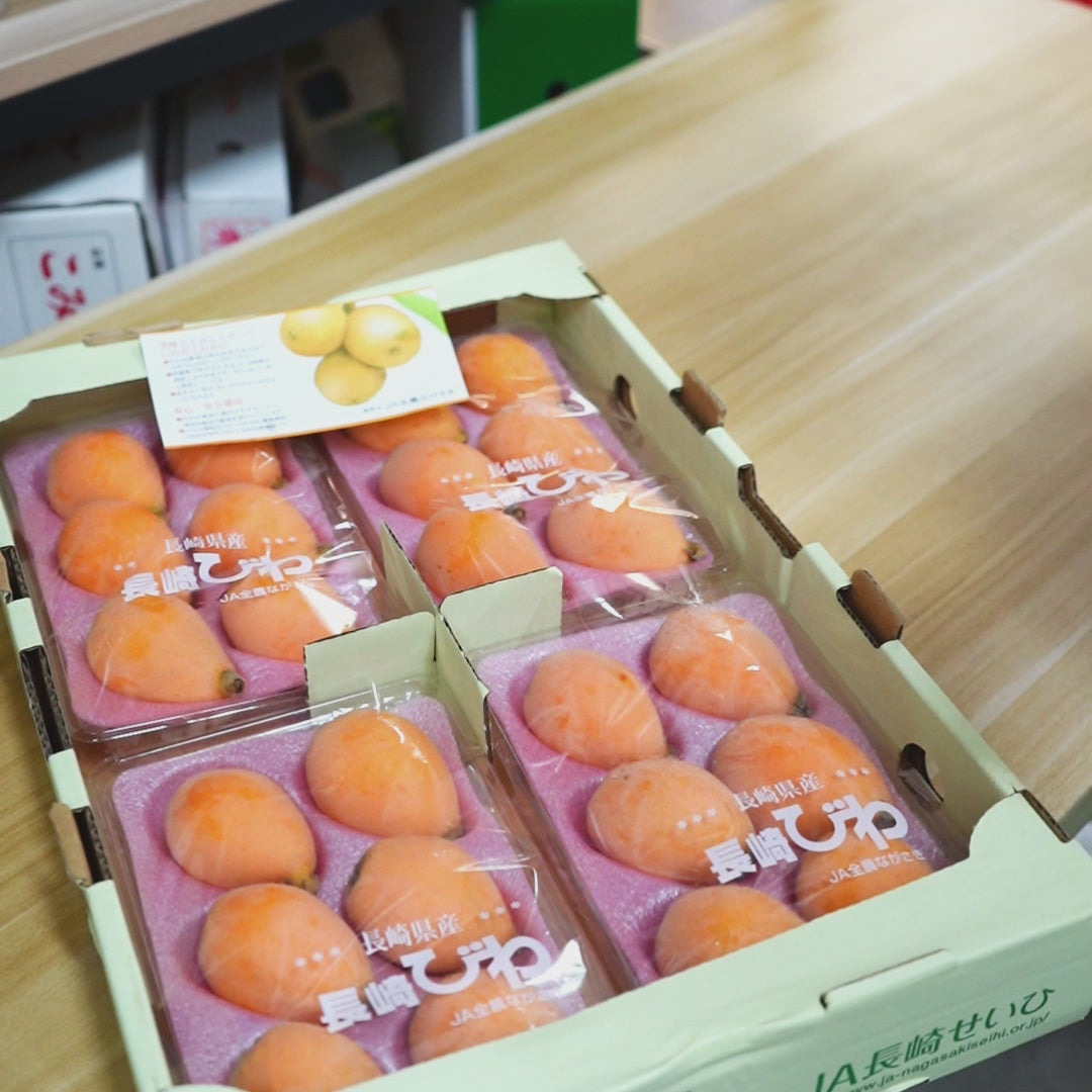 Nagasaki Loquat 长崎枇杷赤